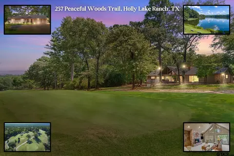 257 Peaceful Woods Trl, Holly Lake Ranch, TX 75765