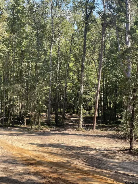 tbd E Fm 852, Winnsboro, TX 75494