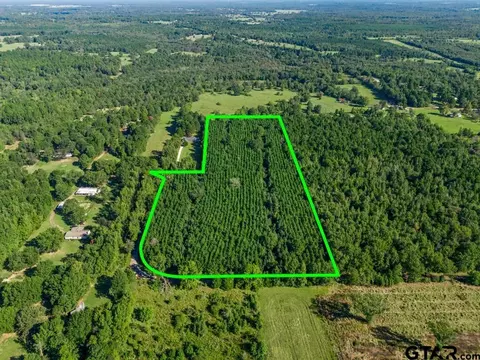 tbd Cat Rd, Gilmer, TX 75644