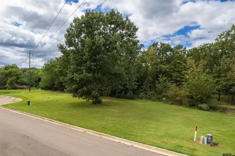 117 Baker, Mount Vernon, TX 75457 photo 3
