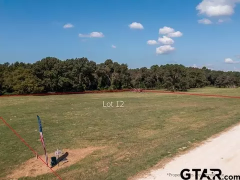 lot12 Cr 3605, Bullard, TX 75757