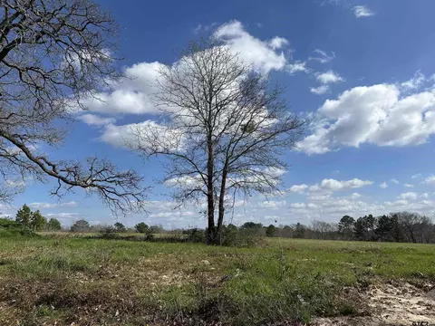 tbd Lot 1 County Road 401, Henderson, TX 75654