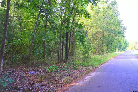 tbd Bob O Link Rd, Gladewater, TX 75645