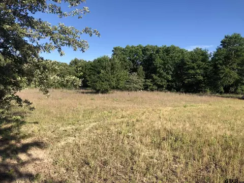 lot9 J County Road 448, Lindale, TX 75771