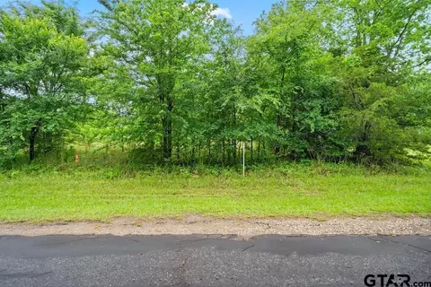 tbd 4910, Ben Wheeler, TX 75754