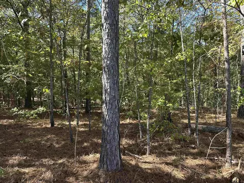 tbd Cr 1318, Rusk, TX 75785