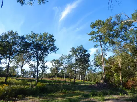 tbd 757 Acres Hwy 259, Ore City, TX 75683