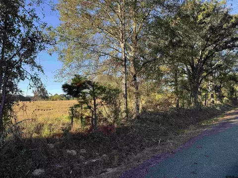 tbd Cr 4194 Tr-9, Henderson, TX 75654