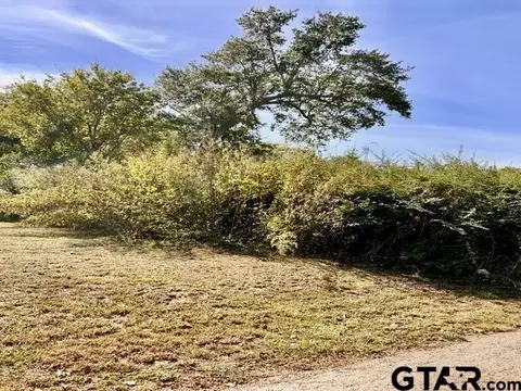 1003 Cherry St, Henderson, TX 75652