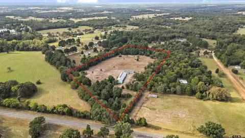 112 County Road 4716, Ben Wheeler, TX 75754