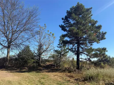 3240 Fm 2966, Quitman, TX 75783