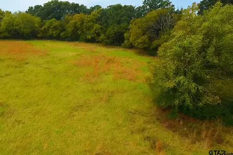tbd 2083 - Vzcr 1118, Grand Saline, TX 75140