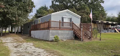 434 Geronimo, Quitman, TX 75783