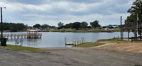434 Geronimo, Quitman, TX 75783 photo 36