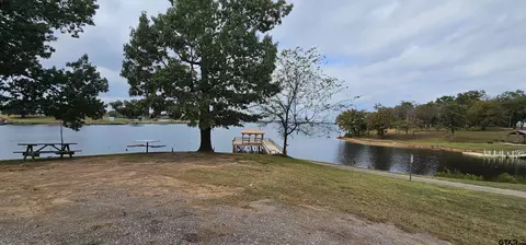 434 Geronimo, Quitman, TX 75783 photo 37