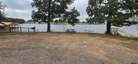434 Geronimo, Quitman, TX 75783 photo 39