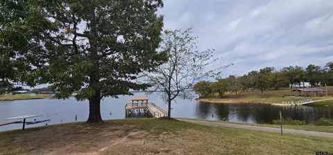 434 Geronimo, Quitman, TX 75783 photo 44