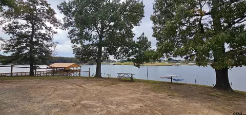 434 Geronimo, Quitman, TX 75783 photo 43