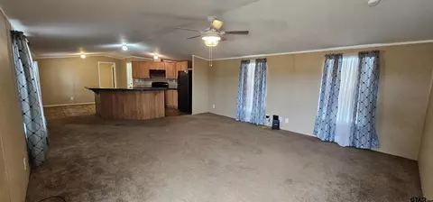 434 Geronimo, Quitman, TX 75783 photo 12