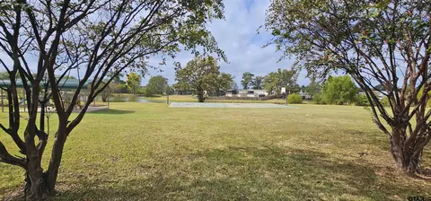 434 Geronimo, Quitman, TX 75783 photo 31