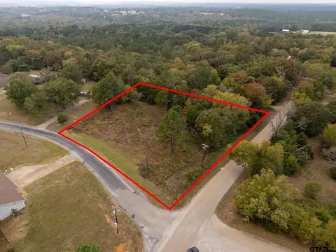 2173 Highland Pl, Whitehouse, TX 75791