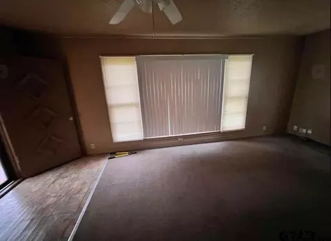 242 E Main St, Van, TX 75790 photo 11