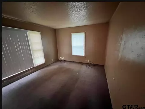 242 E Main St, Van, TX 75790 photo 10