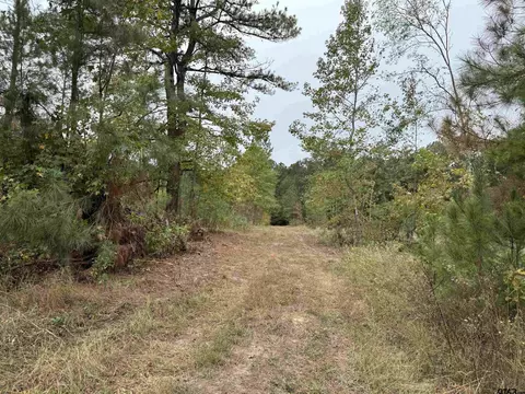 tbd Cr 314 - 15 Acres, Henderson, TX 75652