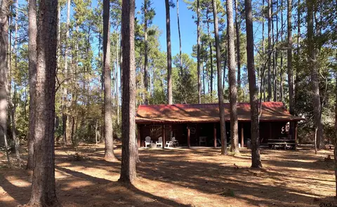 142 Pine Cone Gln, Holly Lake Ranch, TX 75765