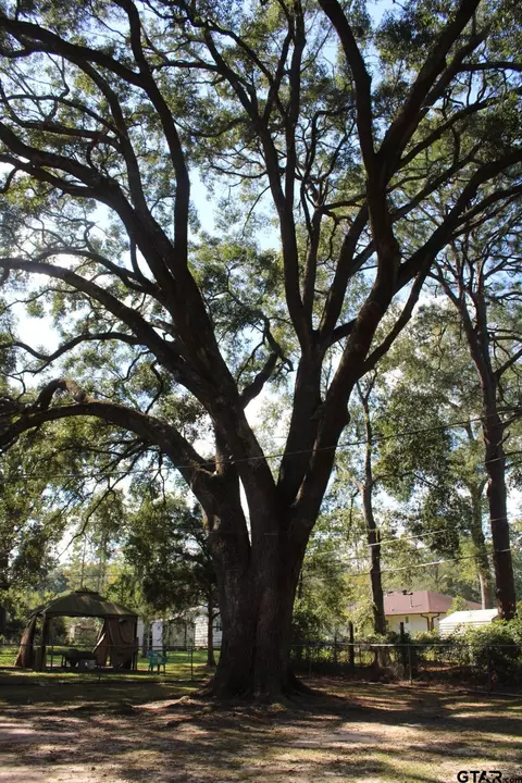 110 Read St, Silsbee, TX 77656 photo 34