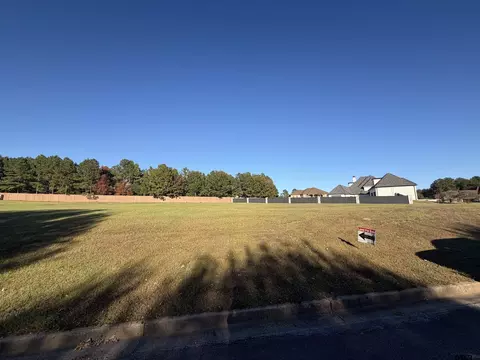301 Creekside Dr, Marshall, TX 75672 photo 10