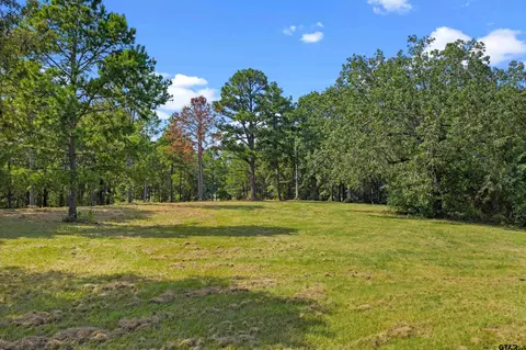 tbd Frances Ln, Diana, TX 75640