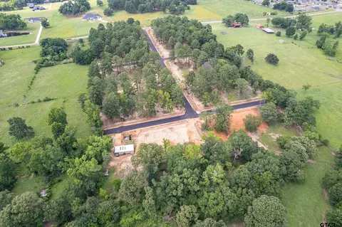 12159 Pinecrest Dr, Flint, TX 75762 photo 9