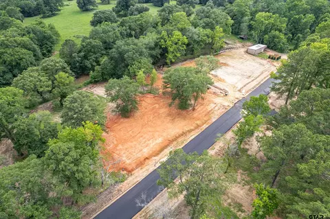 12159 Pinecrest Dr, Flint, TX 75762 photo 12