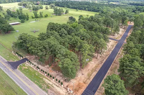 12159 Pinecrest Dr, Flint, TX 75762 photo 20