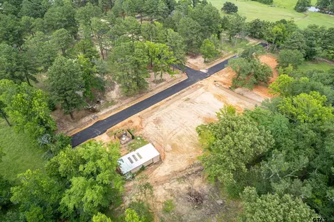12159 Pinecrest Dr, Flint, TX 75762 photo 10