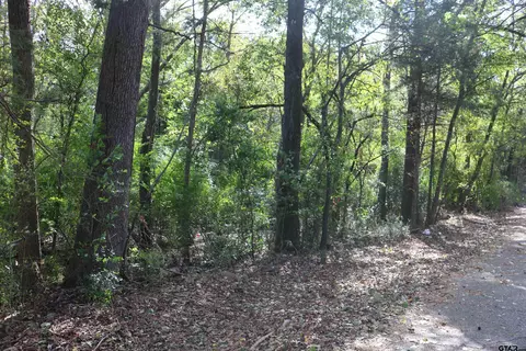 tbd N Cass St, Jefferson, TX 75657