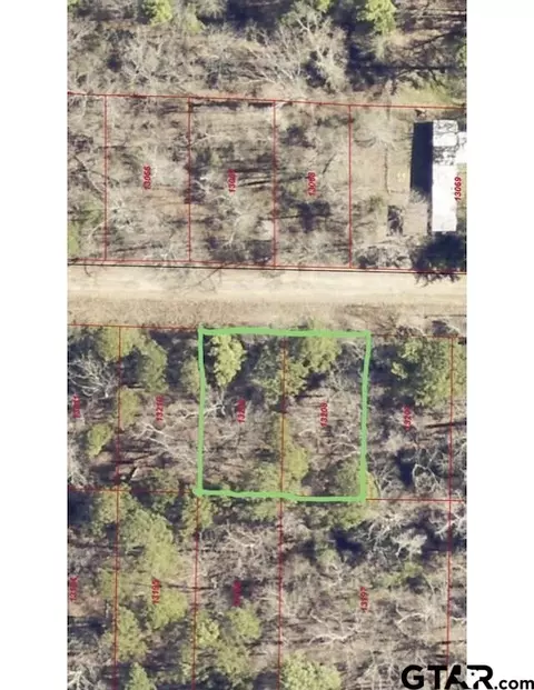 0 Dallas Loop, Avinger, TX 75630