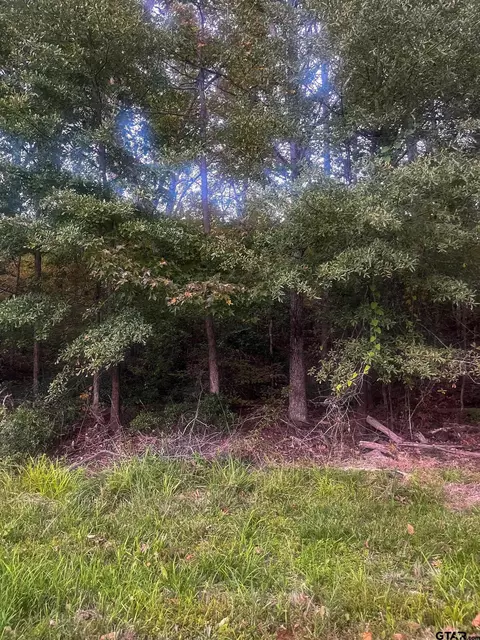 00 Cherokee St, Tyler, TX 75705