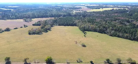 485 Pr 6142, Grapeland, TX 75844