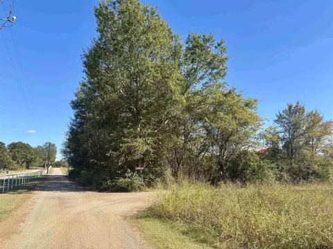 lot166 Kitty Hawk Dr, Frankston, TX 75763