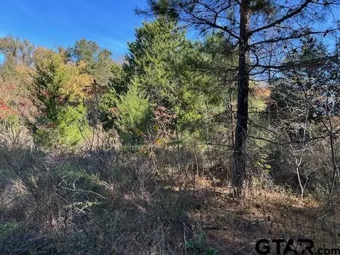 lot14 15 Cr 2269, Mineola, TX 75773