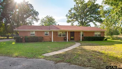 460 Hickory, Van, TX 75790 photo 3