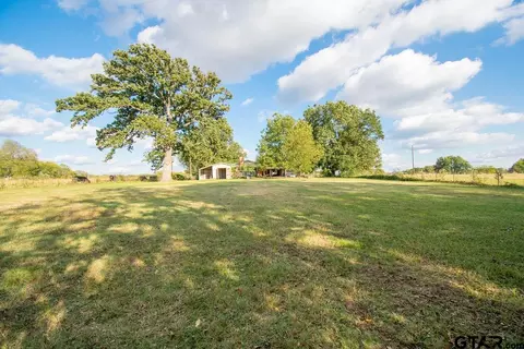 460 Hickory, Van, TX 75790 photo 17