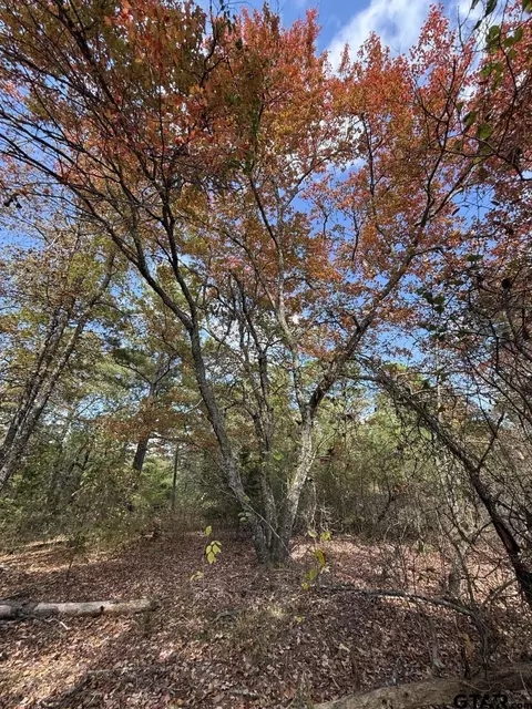 tbd Stag Rd, Gilmer, TX 75644 photo 28