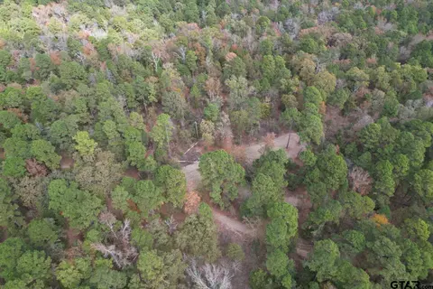 tbd Stag Rd, Gilmer, TX 75644 photo 21