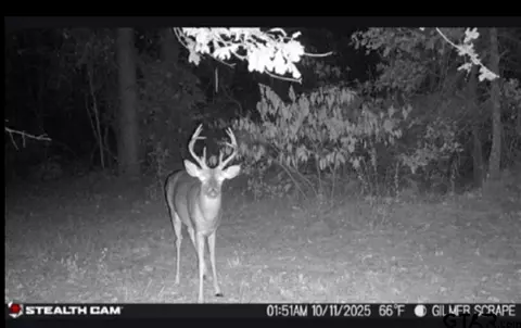 tbd Stag Rd, Gilmer, TX 75644 photo 6