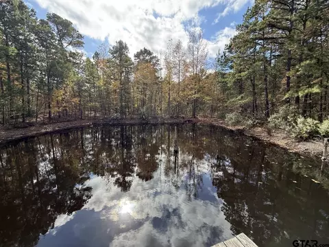 tbd Stag Rd, Gilmer, TX 75644 photo 26