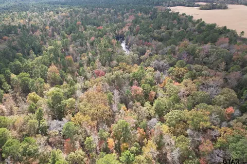 tbd Stag Rd, Gilmer, TX 75644 photo 17