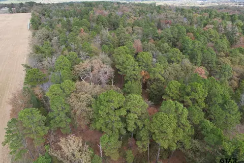 tbd Stag Rd, Gilmer, TX 75644 photo 19